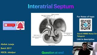 Development of Interatrial Septum Embryology [upl. by Sardella]