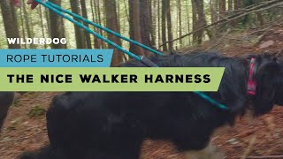 Rope Tutorials Nice Walker Harness [upl. by Verene]