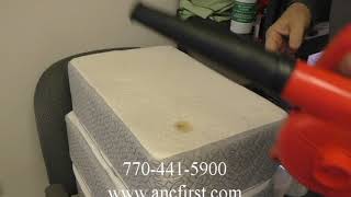 CLEAN SOILED MATTRESS WITH DISCOVERY AEROSOL [upl. by Lothar]