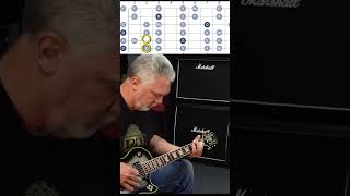 Ticks and Leeches Lesson guitar lesson [upl. by Hollah]