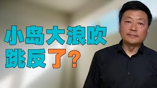 “自媒体小岛大浪吹，跳反了？”，小岛是 “反贼” 还是 “粉红”？无论是什么，时代的趋势动起来，有些人总会跟上来。下一个又是谁呢？ [upl. by Aluino]