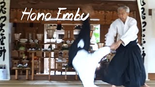 Doshu Moriteru UESHIBA Senseis Demonstration at the annual AIKISHRINE Festival 2022 [upl. by Damick]