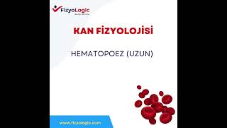 FİZYOLOGİC KAN FİZYOLOJİSİ  HEMATOPOEZ UZUN VERSİYON [upl. by Early]