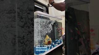 Fish Tank setup video  karaikudi aquarium fishaquarium karaikudi [upl. by Len229]