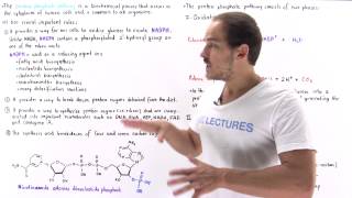 Introduction to Pentose Phosphate Pathway [upl. by Riorsson]