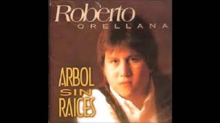 02 Roberto Orellana  Mi Nuevo Amor [upl. by Heyde]