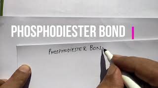 Phosphodiester Bond LectureUrdu Botany III for BS Zoology Botany Chemistry [upl. by Nailluj]