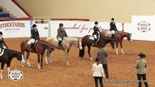 2022 APHA World Show Non Pro 3 YO HUS Stakes [upl. by Enitsirc]