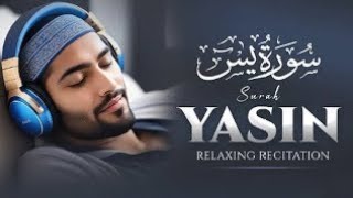 The Power of Surah Yasin A Journey Through Divine Verses [upl. by Alfy500]