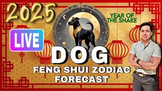 DOG FENG SHUI ZODIAC 2025 FORECAST LIVE [upl. by Aihsar391]