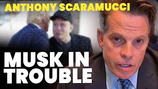 Anthony Scaramucci Trump will unleash hell on Elon Musk ‘in a matter of time’ [upl. by Grube]