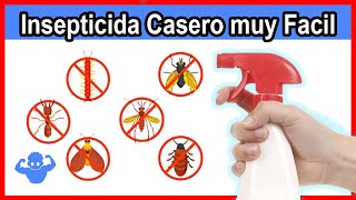 INSECTICIDA CASERO no Volverás a ver MOSCAS alrededor Mosquitos ni Cucarachas en solo 10 minutos [upl. by Raye600]