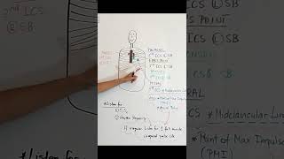 Cardiac Landmarks anatomyandphysiology nursingskills nursingschool [upl. by Ailene753]