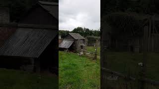 SUNDAY LUNCH  AT BEAMISH LIVING MUSEUM OF THE NORTH [upl. by Darrel]