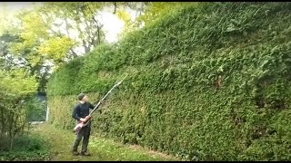 Einkürzung Thuja Hecke mit Husqvarna Stabheckenschere [upl. by Itsrejk]