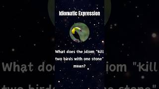 What does the idiom quotkill two birds with one stonequot mean [upl. by Marten]