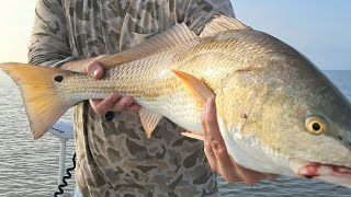 Pamlico Sound Fishing NON STOP ACTION [upl. by Kathlene]