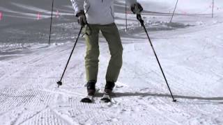 Harald Harb quotHow to Skiquot Series 1 Lesson 1 Beginning Parallel Skiing [upl. by Eta]