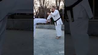 ura mavashi geriehsanashtari shidokan martialarts kic kyokushinkarate taekwondo [upl. by Lyrret]