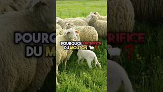 pourquoi les musulmans fontils le sacrifice dun mouton 🐑❓allah islam islamrappel aïdelkebir [upl. by Ahsinek529]