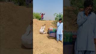 Larky Ne Bottles Q Utha Li Hain🤭😱 funny video comedy viralvideo entertainment [upl. by Anirt]