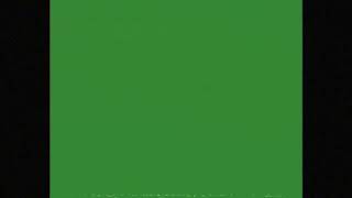 VHS Green Screen Filter Subtle Static 43 Aspect Ratio 4K [upl. by Inalial169]