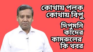 কোথায় পলক  কোথায় বিপু  দিপুমনি  কাদের  কামরুলের কি খবর [upl. by Acinhoj]