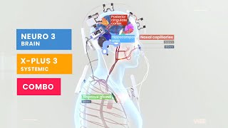 Vielight Neuro Duo  X Plus BrainSystemic Photobiomodulation System [upl. by Aicatsan29]