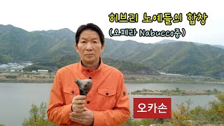 히브리 노예들의 합창오페라 Nabucco중양산시 원동면 매화마을에서 [upl. by Eyot307]