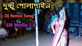 দুষ্টু পোলাপাইন তোরা মারিস না কেউ লাইন Dusto Polapain Dj Bangla Dj Song  New Dance 2024 [upl. by Patten]