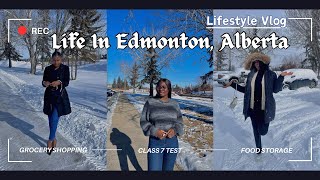 Life In Edmonton Alberta  I Passed Alberta Class 7 Knowledge Test  Bulk Grocery Shopping  Vlog [upl. by Nennek]