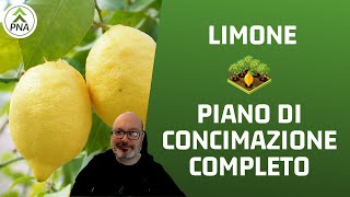 Piano di concimazione super per il limone [upl. by Let564]