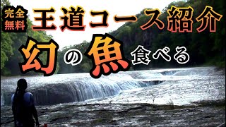 【群馬観光】群馬・吹割の滝【早朝】東洋のナイアガラ！迫力満点の滝と癒やしの滝音に感動！【日本の滝百選】【観光モデルコース】 [upl. by Buzz]