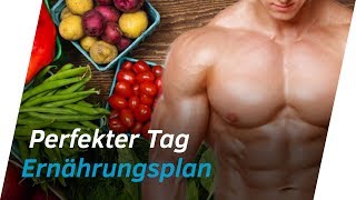 ERNÄHRUNGSPLAN ERSTELLEN MealTiming amp Trennkost für schnelle Erfolge  Andiletics [upl. by Enitsej191]