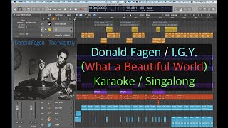 Donald Fagen IGY Karaoke  Singalong [upl. by Valerye]