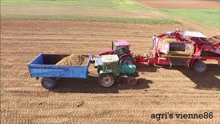 Ramassage de pommes de terres 2018  case ih maxxum 125 [upl. by Aneri208]