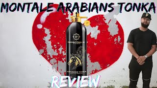 1st Impressions of Arabians Tonka [upl. by Kalie]