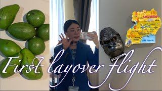 Vlog첫 레이오버 비행First layover flight [upl. by Yelnats]