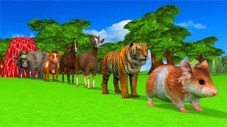 Paint amp Animals Hamster Tiger Goat Cow Elephant Horse Fountain Crossing Transformation Animals [upl. by Horst]