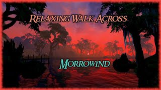 Relaxing Walk Across Morrowind  Ambient Music and Sounds in 4k [upl. by Leakim432]