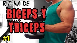 Hipertrofia Antagonista  Entrena Biceps y Triceps con LSF [upl. by Ferdy431]