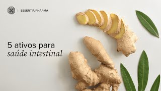 Nutrientes que contribuem para um intestino saudável  Essentia Pharma [upl. by Jasisa]