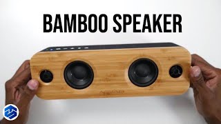 AOMAIS LIFE 30W Bamboo Speakers Review [upl. by Anirbys]