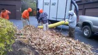 TracVac 288 Leaf Collection System [upl. by Gokey810]