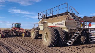 Seeding In The Saskhara Desert [upl. by Smith]