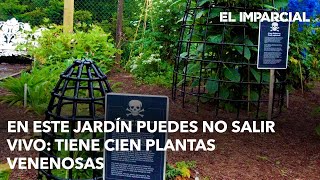 En este jardín puedes no salir vivo Tiene cien plantas venenosas [upl. by Werby]