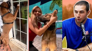 Dog Trainers React to INSANE DOG SITUATIONS [upl. by Kwarteng]