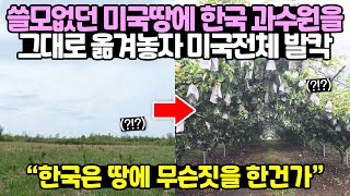 실제영상 쓸모없던 미국땅에 한국 과수원을 그대로 옮겨놓자 미국전체 발칵  quot한국은 땅에 무슨짓을 한건가quot [upl. by Earleen]