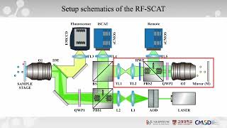 Threedimensional interferometric scattering microscopy via remote focusing technique [upl. by Enyawd]