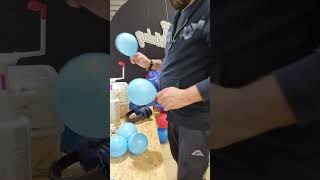 Une guirlande de ballons facile à faire  Arche de ballons howto balloondecoration [upl. by Clute115]